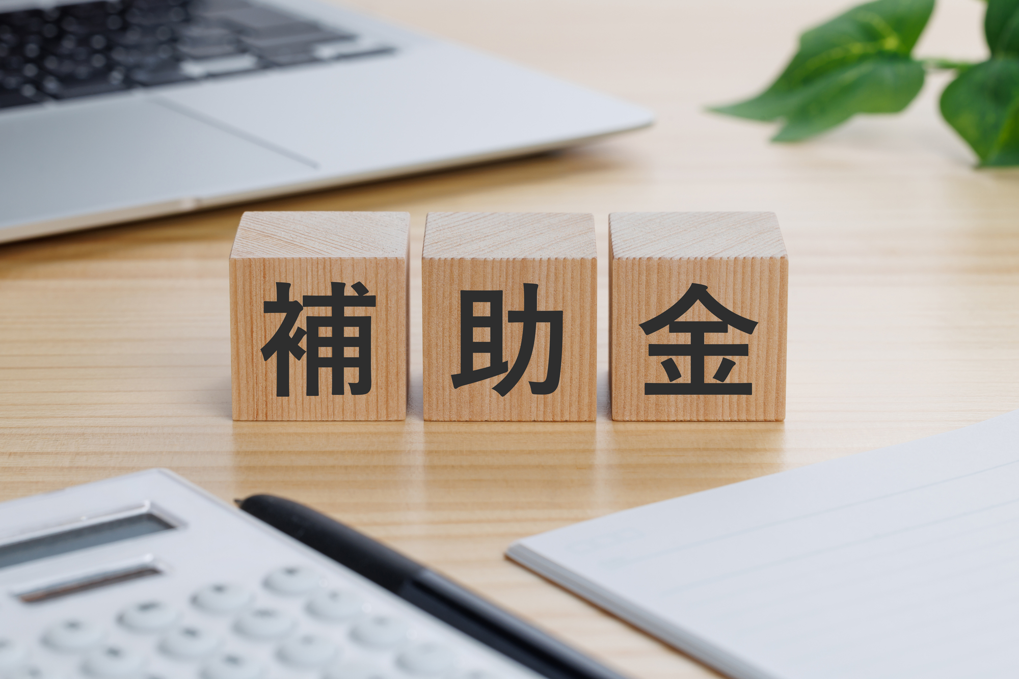 補助金・政策に頼って成長した会社は「今が売り時」かもしれない——ホンダEV損失2.5兆円が示す政策変更リスクとM&A決断の条件