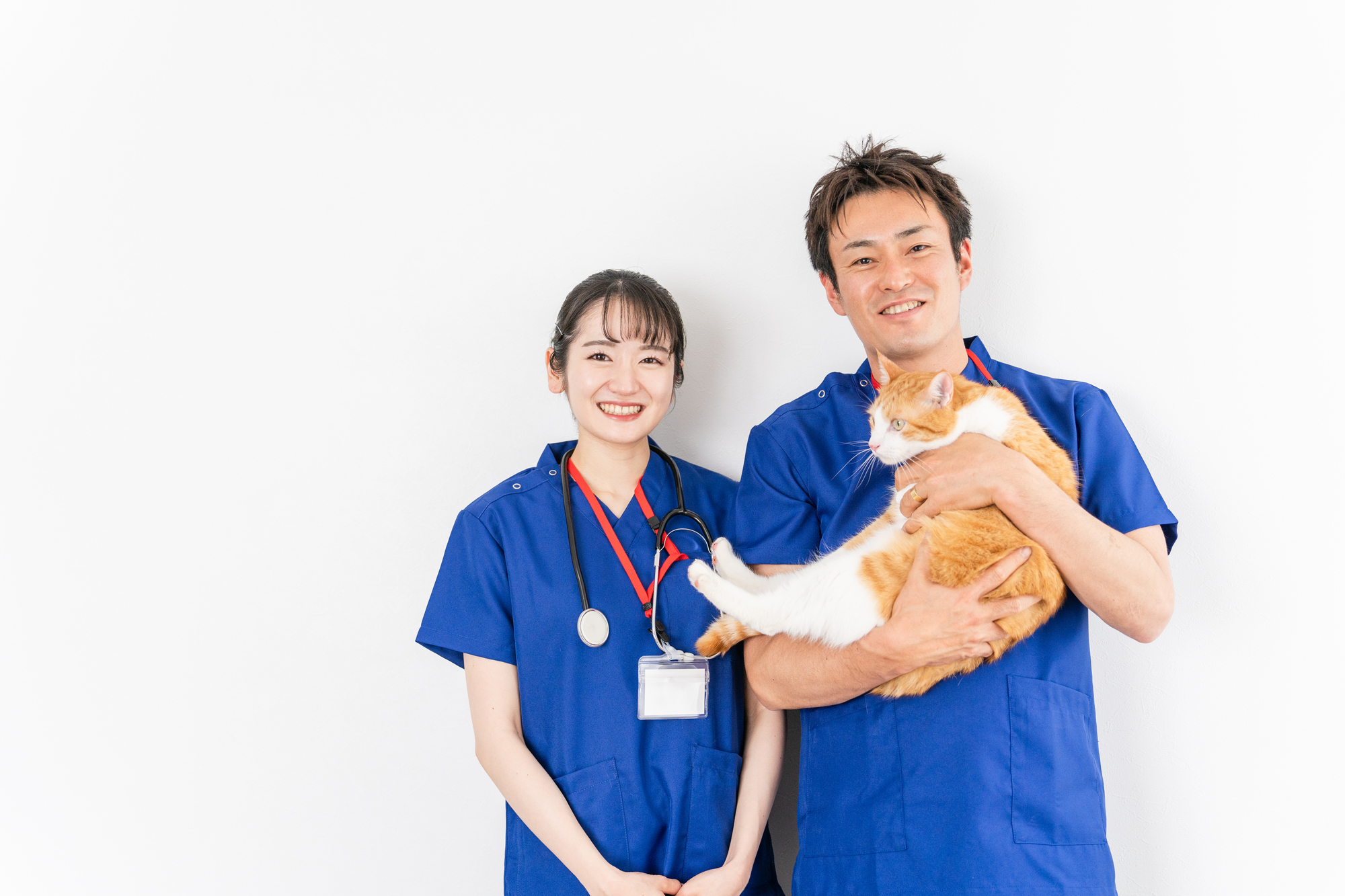 動物病院のM&A｜獣医師が高齢化するなかで、譲る側が決める4つのこと